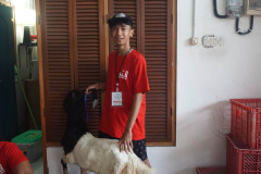DSC01582