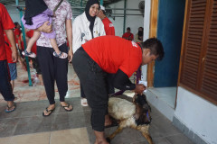 DSC01623