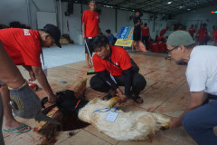 DSC01628