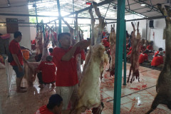 DSC01735