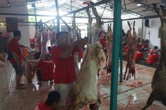 DSC01735