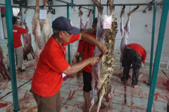 DSC01741