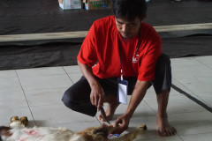 DSC06951