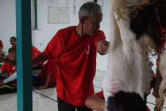 DSC06952