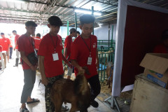 DSC06967