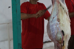 DSC07022
