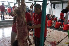 DSC07030