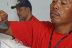DSC07047