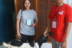 DSC07054